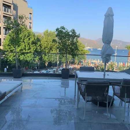 Bono Premium Collection